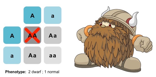 lethal alleles med