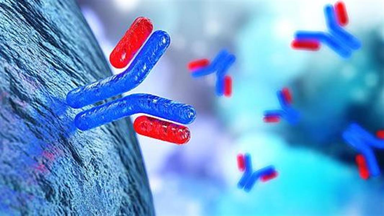 monoclonal antibodies 01