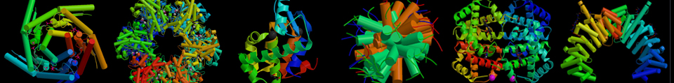 protein art sm