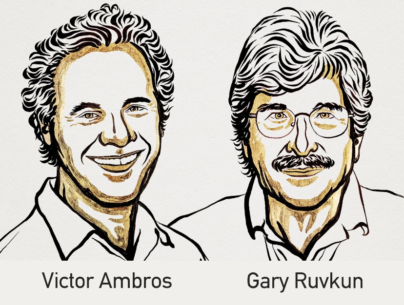 Ambros Ruvcun