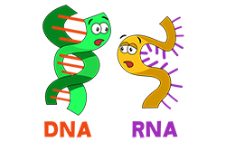 bio humor sm