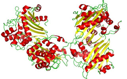 macromolecules 02sm